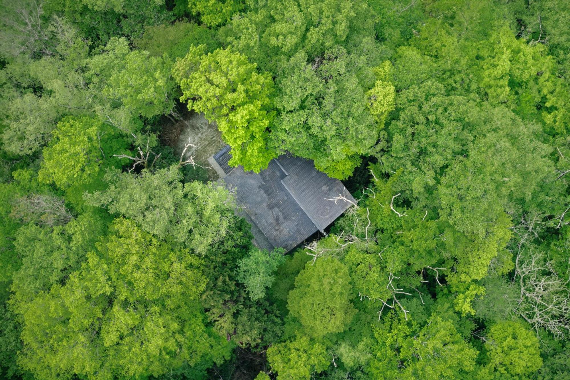 Villa 高台の森に佇むモダニズム建築 露天風呂 サウナ 檜風呂 Enn